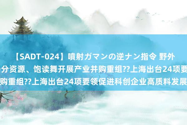 【SADT-024】噴射ガマンの逆ナン指令 野外浣腸悪戯 汇注股权投资身分资源、饱读舞开展产业并购重组??上海出台24项要领促进科创企业高质料发展
