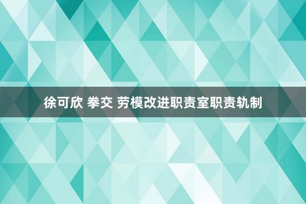 徐可欣 拳交 劳模改进职责室职责轨制