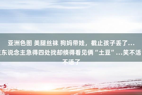 亚洲色图 美腿丝袜 狗妈带娃，截止孩子丢了…主东说念主急得四处找却倏得看见俩“土豆”…笑不活了