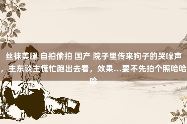 丝袜美腿 自拍偷拍 国产 院子里传来狗子的哭嚎声，主东谈主慌忙跑出去看，效果...要不先拍个照哈哈
