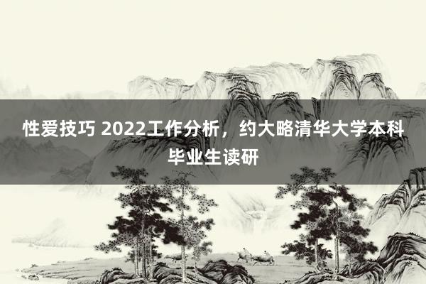 性爱技巧 2022工作分析，约大略清华大学本科毕业生读研