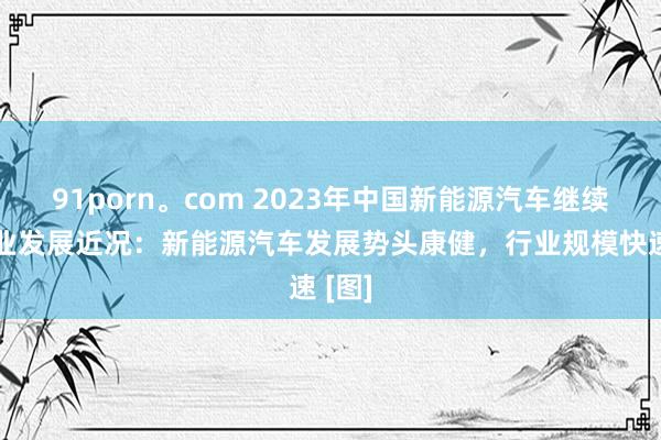 91porn。com 2023年中国新能源汽车继续器行业发展近况：新能源汽车发展势头康健，行业规模快速 [图]
