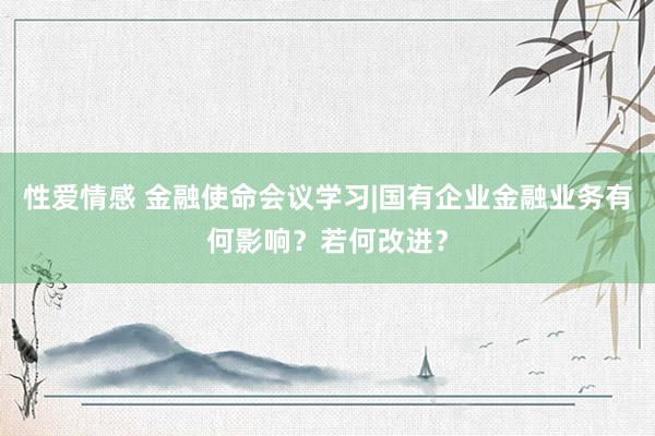性爱情感 金融使命会议学习|国有企业金融业务有何影响？若何改进？