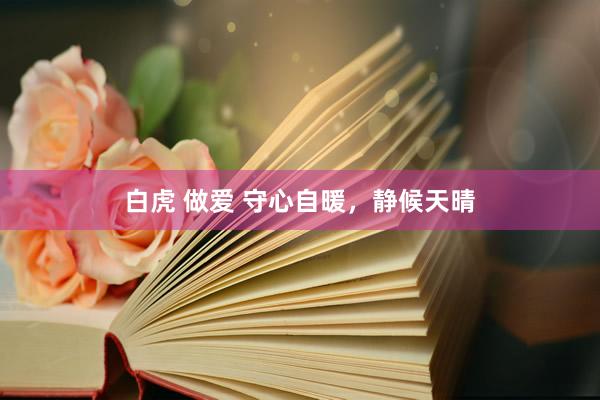 白虎 做爱 守心自暖，静候天晴